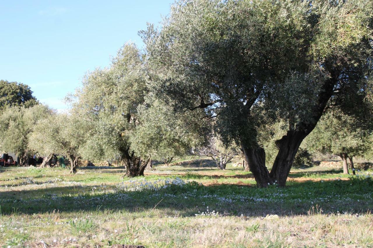 La Cebette Διαμέρισμα Saint-Cyr-sur-Mer Εξωτερικό φωτογραφία